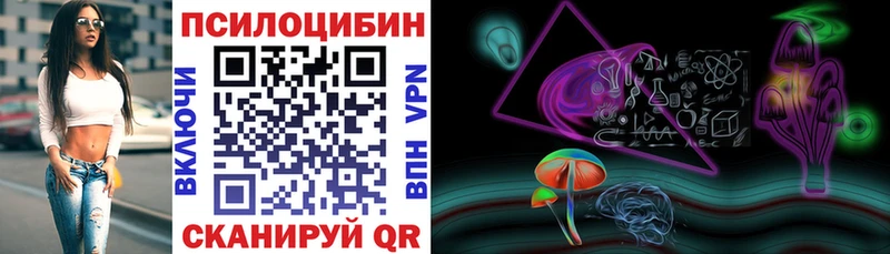 Галлюциногенные грибы Psilocybe  магазин  наркотиков  Узловая 
