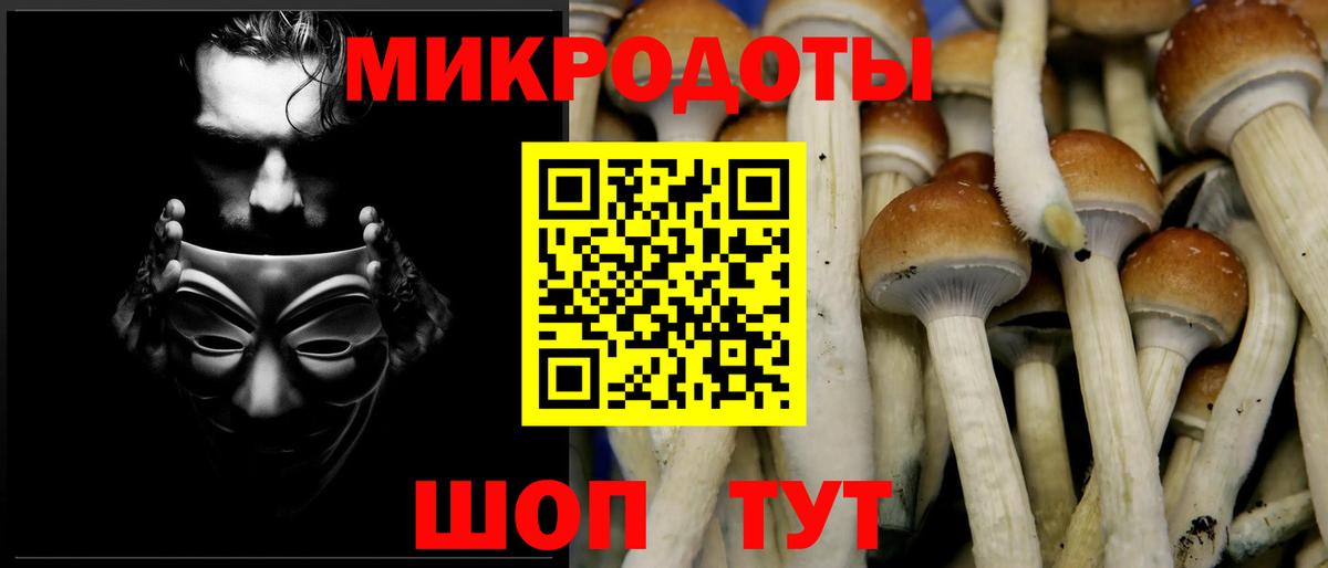 Узловая  Псилоцибиновые грибы ЛСД  Вход с VPN 